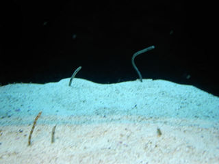 20090412_2_10.jpg