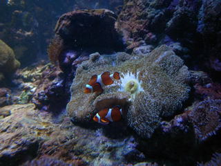 20090412_2_2.jpg