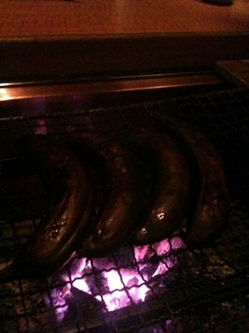 20100118_1_2.jpg