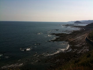 20100125_3_8.jpg